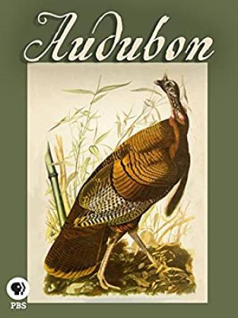 Audubon (2017) [720p] [WEBRip] [YTS]
