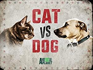 Cat vs Dog S01E02 Im Afraid Of My Dog 720p HDTV x264-CRiMSON