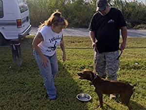 Pit Bulls and Parolees S10E06 Tip of the Iceberg 480p x264-mSD