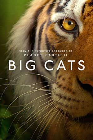 Big Cats (2018) Season 1 S01 (1080p BluRay x265 HEVC 10bit AAC 2.0 RCVR)
