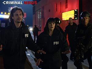 Criminal Minds S13E22 720p WEBRip x265-MiNX[TGx]