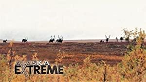 Alaska Extreme Series 1 08of10 Amazing Migrations 1080p HDTV x264 AAC