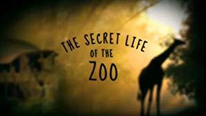 The Secret Life Of The Zoo S08E04 REAL 1080p HDTV H264-CREED