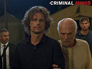 Criminal Minds 14x01-15 WEB-Mux XviD Ita Eng 5 1 Earine