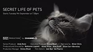 The Secret Life Of Pets S01E01 PDTV x264-C4TV