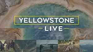 Yellowstone Live S01E01 Inside the Supervolcano XviD-AFG
