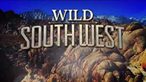 Wild South West S01E01 Bat-nado 720p WEB x264-CAFFEiNE