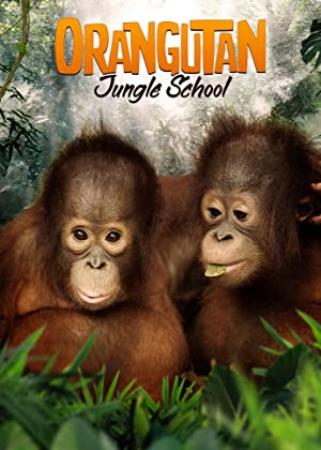 Orangutan Jungle School Series 2 06of10 Bald is Beautiful 1080p HDTV x264 AAC