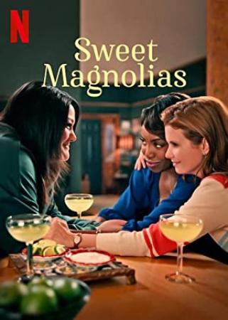 Sweet Magnolias S01 WEBRip x264-ION10