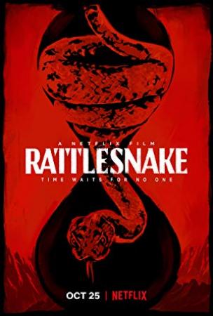 Rattlesnake 2019 NF WEBRip 1080p Rus The Punisher