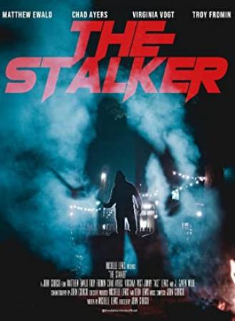 The Stalker 2013 iTALiAN AC3 BrRip 1080p x264 TrTd_TeaM