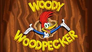 Woody Woodpecker S01E02 WEBRip XviD-WPi