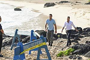 Hawaii Five-0 2010 S09E13 FRENCH HDTV XviD-EXTREME