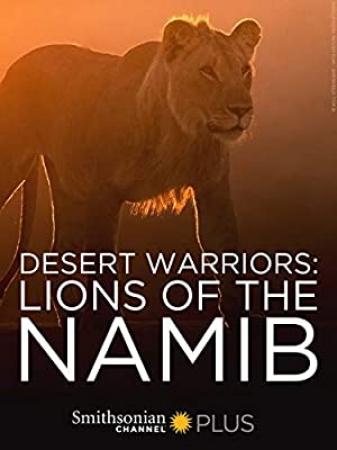 Desert Warriors Lions of the Namib 2016 1080p WEBRip x264-RARBG