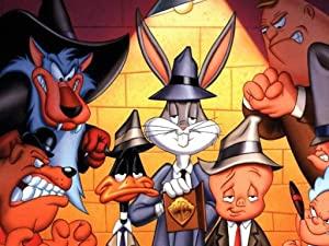 Looney Tunes Cartoons S01E10 PROPER XviD-AFG