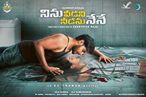 Ninu Veedani Needanu Nene (2019) 720p Telugu DVDScr x264 MP3 1.3GB