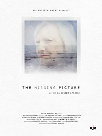 The Missing Picture 2013 1080p BluRay x264 AAC - Ozlem