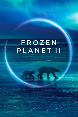 Frozen Planet II S01E04 XviD-AFG[eztv]