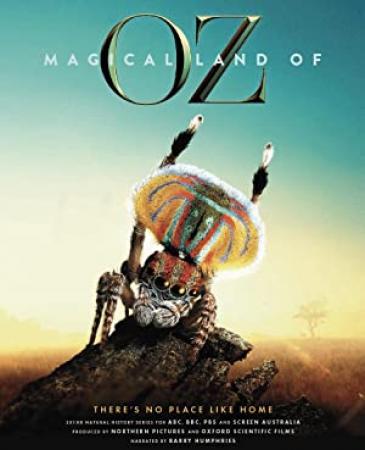 Magical Land Of Oz S01 COMPLETE 720p NF WEBRip x264-GalaxyTV[TGx]
